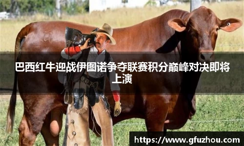 巴西红牛迎战伊图诺争夺联赛积分巅峰对决即将上演