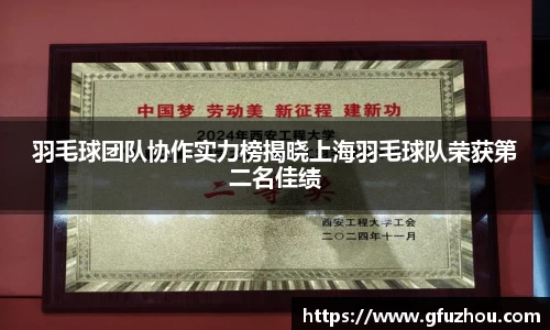 羽毛球团队协作实力榜揭晓上海羽毛球队荣获第二名佳绩