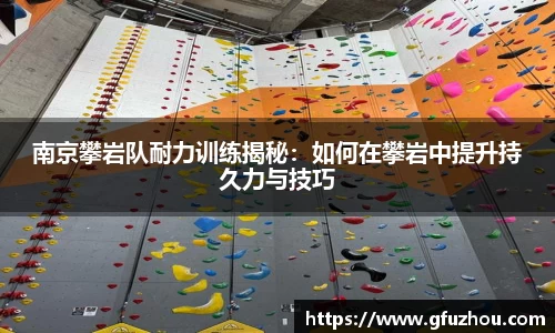 南京攀岩队耐力训练揭秘：如何在攀岩中提升持久力与技巧